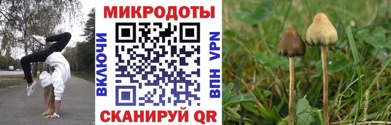 как найти наркотики  Олёкминск  Галлюциногенные грибы ЛСД 
